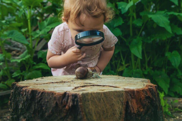 Observation and Discovery